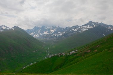 Doğada yaşam taş köprüler ve Kackar dağlarında