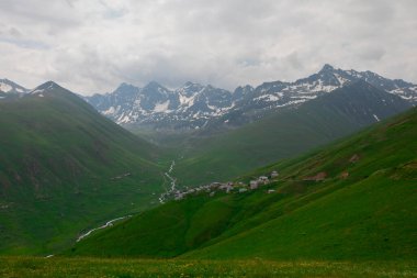 Doğada yaşam taş köprüler ve Kackar dağlarında