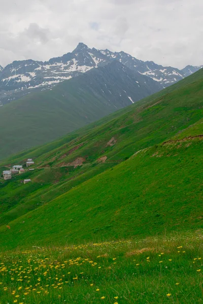 Burası Türkiye 'nin Karadeniz Bölgesi, dağlar Kackars.