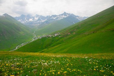 Burası Türkiye 'nin Karadeniz Bölgesi, dağlar Kackars.