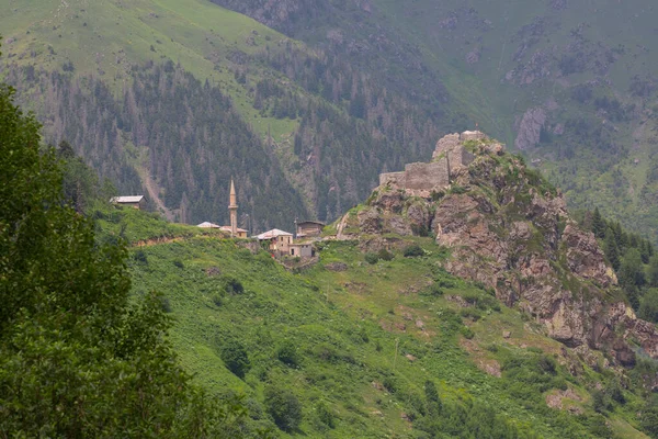 Voici Région Mer Noire Turquie Les Montagnes Sont Des Kackars — Photo