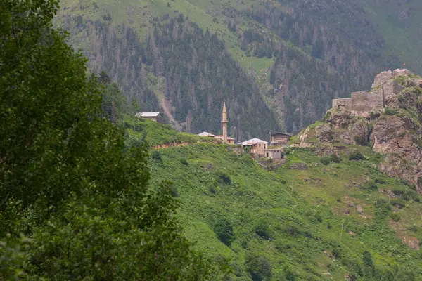 Burası Türkiye 'nin Karadeniz Bölgesi, dağlar Kackars.
