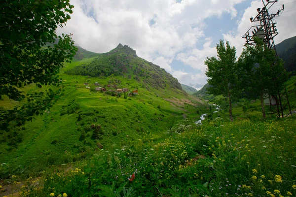 Vita Nella Natura Ponti Pietra Montagne Kackar — Foto Stock