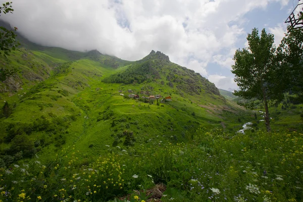 Life Nature Stone Bridges Kackar Mountains — Stock Photo, Image