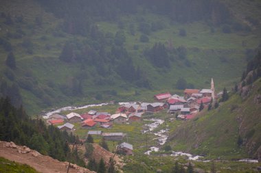 Doğada yaşam taş köprüler ve Kackar dağlarında