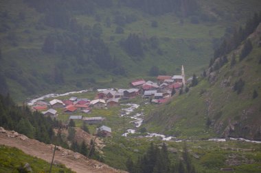 Doğada yaşam taş köprüler ve Kackar dağlarında