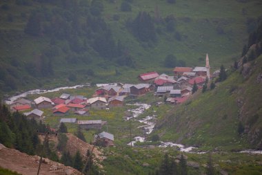 Doğada yaşam taş köprüler ve Kackar dağlarında