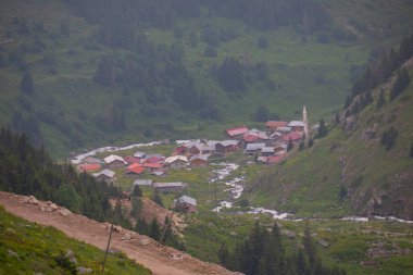 Doğada yaşam taş köprüler ve Kackar dağlarında