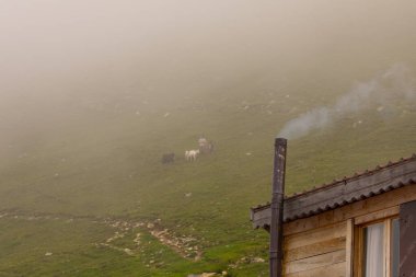 Avusor Platosu ve Kackar Dağları