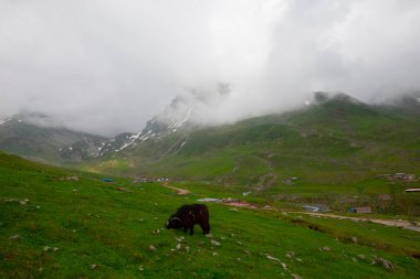 Avusor Platosu ve Kackar Dağları