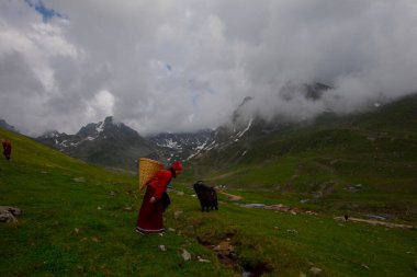 Avusor Platosu ve Kackar Dağları