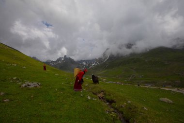 Avusor Platosu ve Kackar Dağları