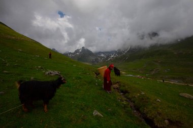 Avusor Platosu ve Kackar Dağları