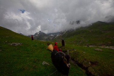 Avusor Platosu ve Kackar Dağları