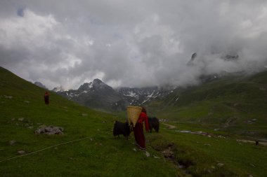 Avusor Platosu ve Kackar Dağları