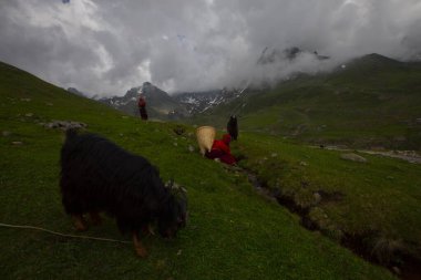 Avusor Platosu ve Kackar Dağları