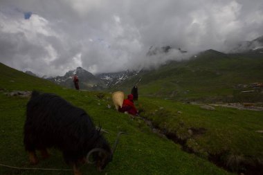 Avusor Platosu ve Kackar Dağları