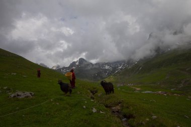 Avusor Platosu ve Kackar Dağları