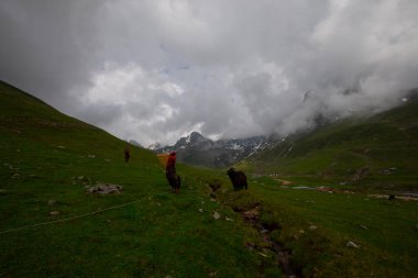 Avusor Platosu ve Kackar Dağları