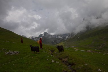 Avusor Platosu ve Kackar Dağları