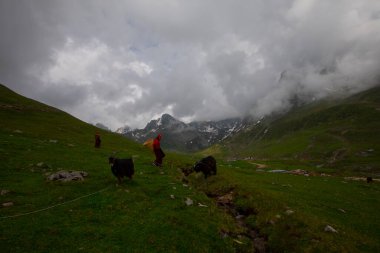 Avusor Platosu ve Kackar Dağları