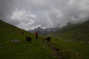 Avusor Platosu ve Kackar Dağları