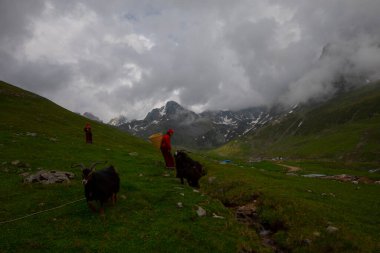 Avusor Platosu ve Kackar Dağları