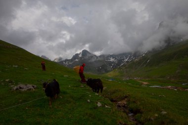 Avusor Platosu ve Kackar Dağları