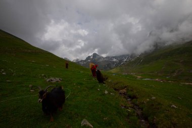 Avusor Platosu ve Kackar Dağları