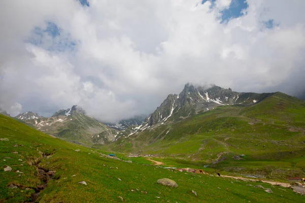 Avusor Platosu ve Kackar Dağları