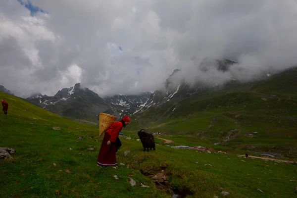 Avusor Platosu ve Kackar Dağları