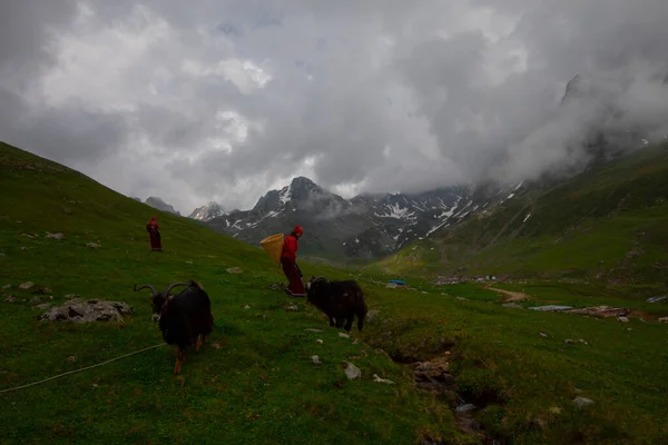 Avusor Platosu ve Kackar Dağları