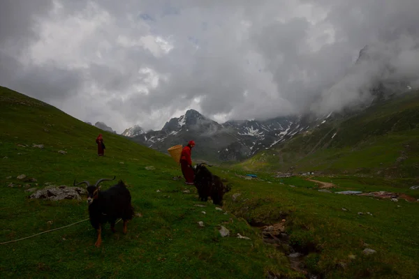 Plateau Avusor Montagnes Kackar — Photo