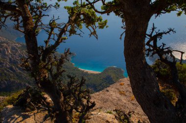 Türkiye 'nin batısındaki Oludeniz / Fethiye ilindeki Kelebek Vadisi (kelebekler vadisi). Bu vadiye sadece kayıkla ya da kaya tırmanışıyla ulaşabilirsiniz.