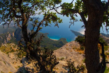 Türkiye 'nin batısındaki Oludeniz / Fethiye ilindeki Kelebek Vadisi (kelebekler vadisi). Bu vadiye sadece kayıkla ya da kaya tırmanışıyla ulaşabilirsiniz.