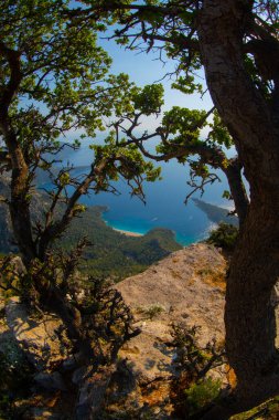 Türkiye 'nin batısındaki Oludeniz / Fethiye ilindeki Kelebek Vadisi (kelebekler vadisi). Bu vadiye sadece kayıkla ya da kaya tırmanışıyla ulaşabilirsiniz.