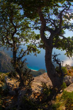 Türkiye 'nin batısındaki Oludeniz / Fethiye ilindeki Kelebek Vadisi (kelebekler vadisi). Bu vadiye sadece kayıkla ya da kaya tırmanışıyla ulaşabilirsiniz.