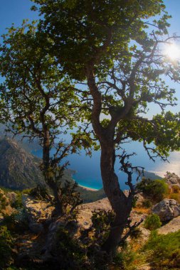 Türkiye 'nin batısındaki Oludeniz / Fethiye ilindeki Kelebek Vadisi (kelebekler vadisi). Bu vadiye sadece kayıkla ya da kaya tırmanışıyla ulaşabilirsiniz.