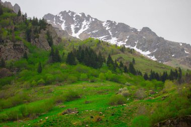 Gelin Tulu şelalesi Rize 'deki Ayder köyündeki Kackar dağından düşüyor..
