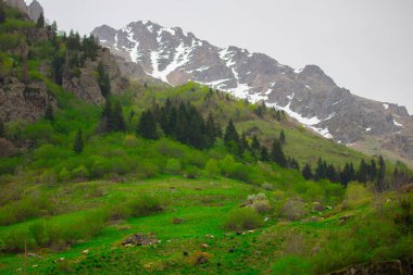 Gelin Tulu şelalesi Rize 'deki Ayder köyündeki Kackar dağından düşüyor..