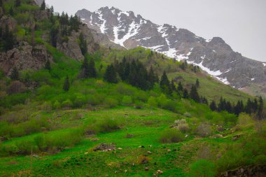 Gelin Tulu şelalesi Rize 'deki Ayder köyündeki Kackar dağından düşüyor..