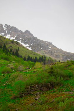 Gelin Tulu şelalesi Rize 'deki Ayder köyündeki Kackar dağından düşüyor..