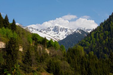 Ayder Platosu ve Ormanları, Kackar Dağı Zirvesi