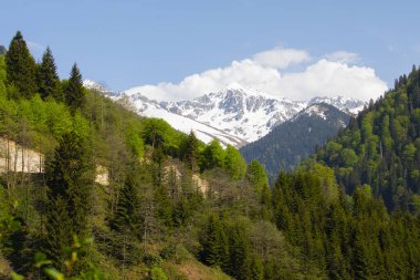 Ayder Platosu ve Ormanları, Kackar Dağı Zirvesi