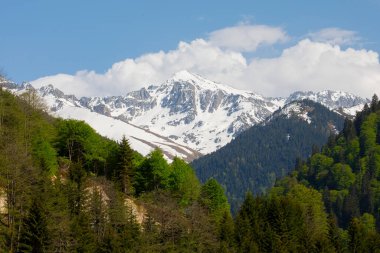 Ayder Platosu ve Ormanları, Kackar Dağı Zirvesi