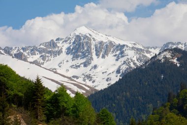 Ayder Platosu ve Ormanları, Kackar Dağı Zirvesi