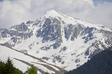 Ayder Platosu ve Ormanları, Kackar Dağı Zirvesi