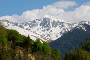 Ayder Platosu ve Ormanları, Kackar Dağı Zirvesi