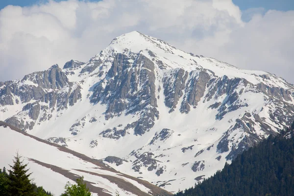 Meseta Ayder Bosques Cumbre Montañas Kackar — Foto de Stock