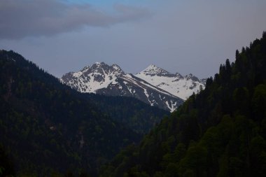 Ayder Platosu ve Ormanları, Kackar Dağı Zirvesi
